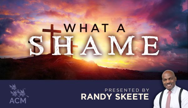 What a Shame - Randy Skeete