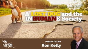 A Lost Dog and the Inhumane Society - Ron Kelly