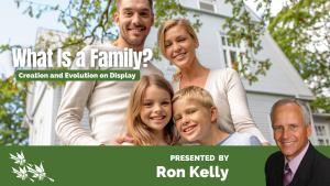 WHAT IS A FAMILY? CREATION AND EVOLUTION ON DISPLAY