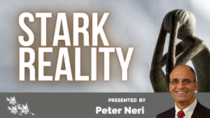 Stark Reality - Peter Neri